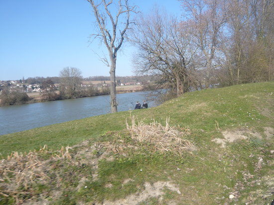 Forêt de Compiègne