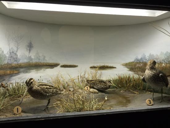 Maison de la Baie de Somme