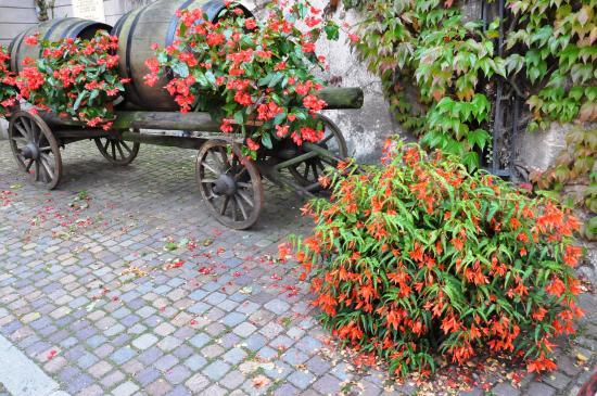 Musee du Vignoble et des Vins d'Alsace