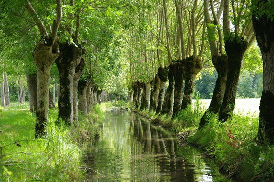 Embarcadère Cardinaud