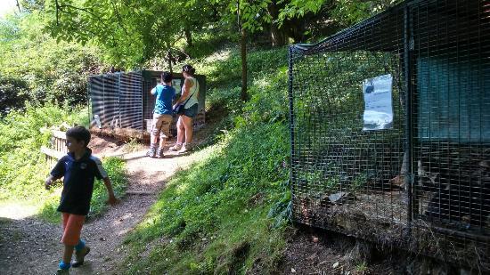 La Forêt aux Lapins