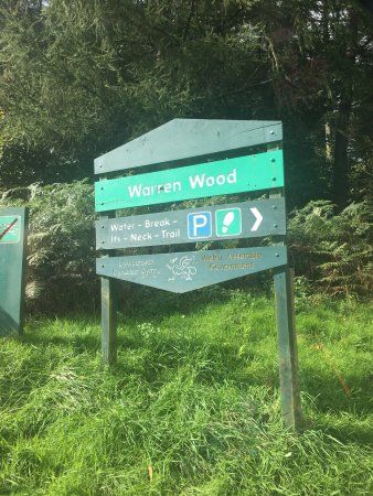 Warren Wood