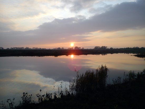 RSPB Langford Lowfields