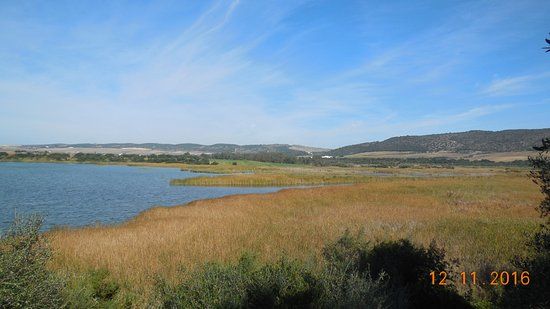 el Paraje Natural Cola del Embalse de Arcos