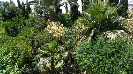 Jardín Botánico La Almunya del Sur