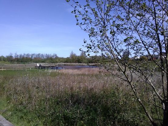 Filey Dams Nature Reserve