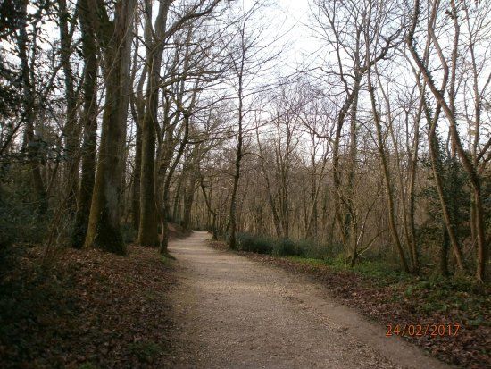 Domaine de la Burthe