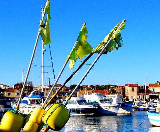 Port de Peche de Carro