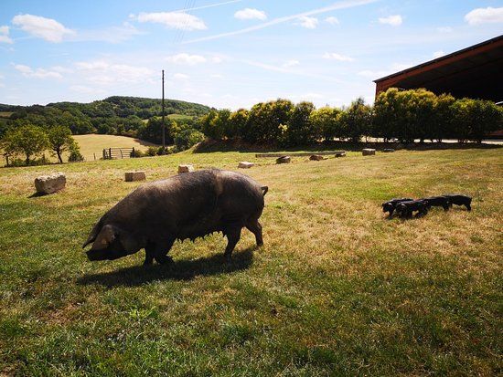 La Ferme de Bidache