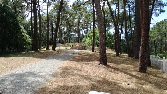 Necropole Nationale de la Teste de Buch