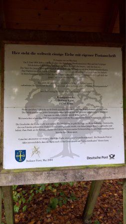 Bräutigamseiche