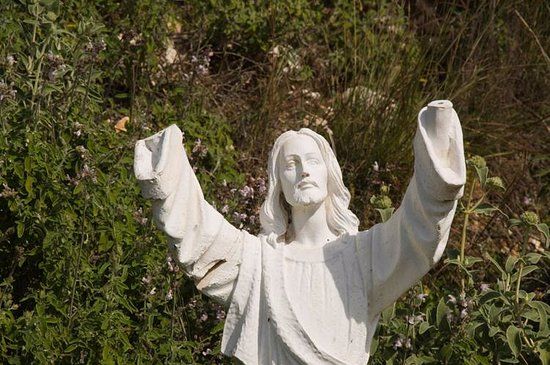 Viotopos Dasous Strofilias