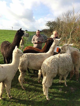 Carthvean Farm