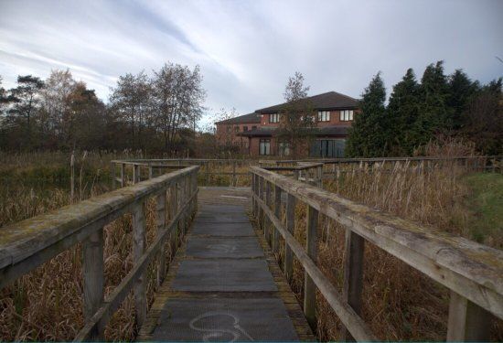 Dunston Acer Pond