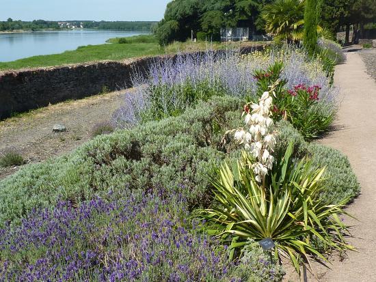 Le Jardin Méditerranéen