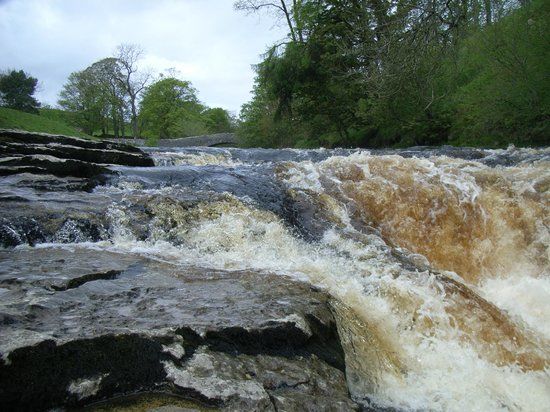 Stainforth Force