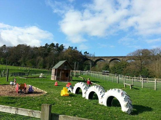 St Leonards Farm Park