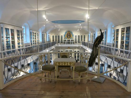 Naturkunde-Museum