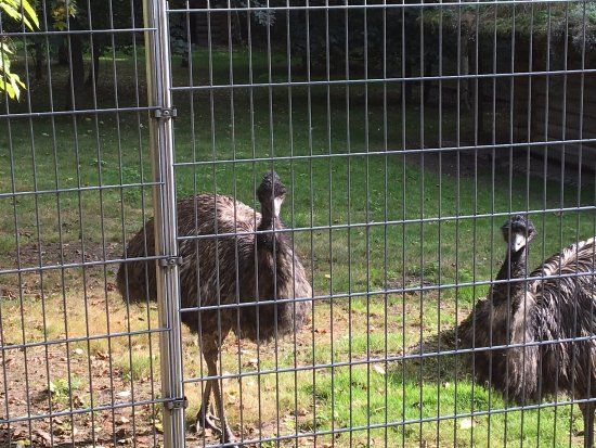 Tiergehege Zeulenroda-Triebes