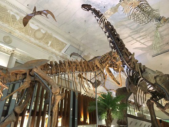 National Taiwan Museum Taiwan of Land Bank Exhibition Hall