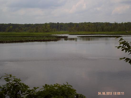 Cumberland Marsh Natural Area Preserve