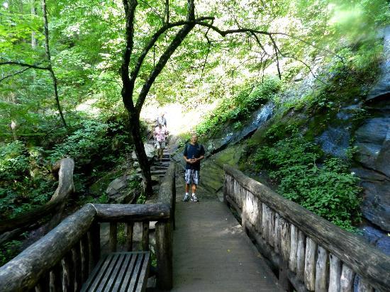 Juney Whank Falls