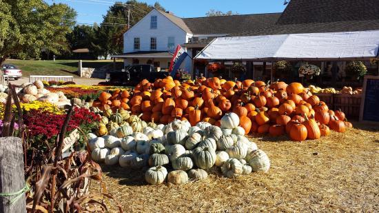 Lull Farm