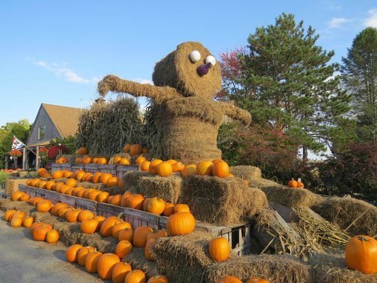 Brookdale Fruit Farm