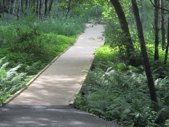 Springbrook Nature Center