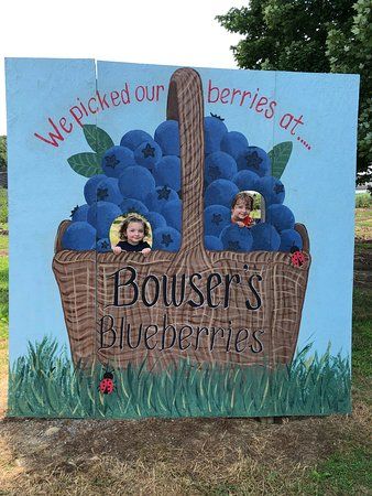 Bowser's Blueberries