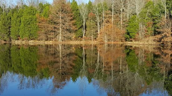 Ferne Clyffe State Park