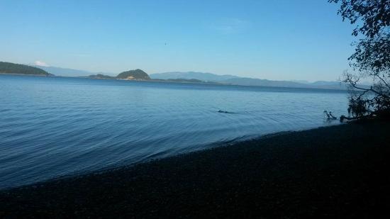 Dugualla State Park