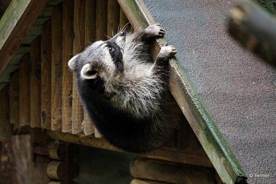 Ogród zoologiczny Gera