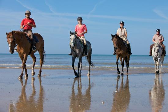Club Hippique Havre de vie