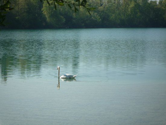 Auenwildnispfad