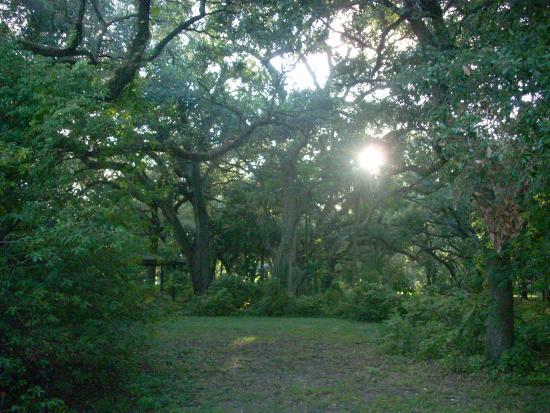 John Williams Park
