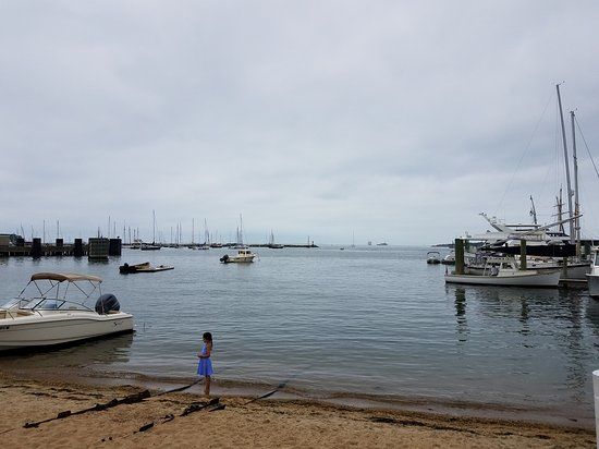 Vineyard Haven Marina