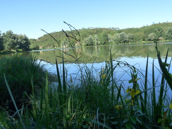 réserve naturelle du Marais de Grolejac
