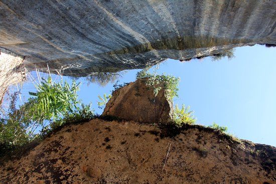 Abri de Laugerie Haute