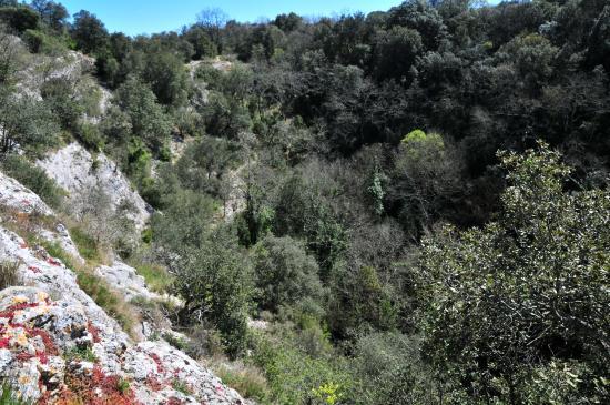 spélonque de Dions