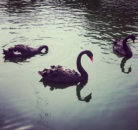 La Ferme de Beaumont