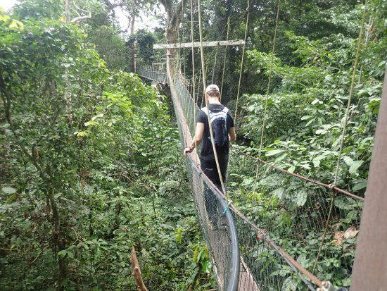 Mulu Skywalk