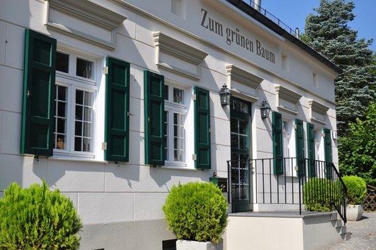 Zum Grunen Baum . Wiesenstein