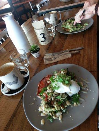 Plenty of Everything