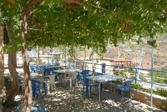 Theos Taverna