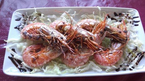 Bar Parrilla Indutec