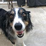 Murray's in A Hurry Pizza and Sub