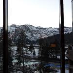 Organic Choice Food Court