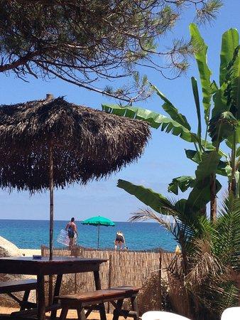 Sard Cafe Rock & Sun