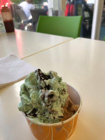 Mellows Pavilion Cafe